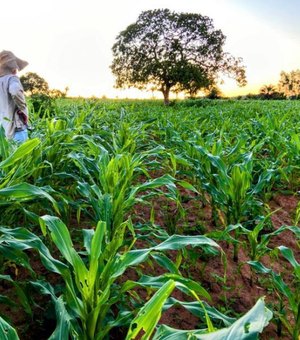 Projetos de lei que beneficiam a agricultura familiar é encaminhado à ALE