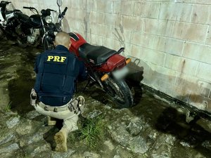 Homem é preso pela PRF com moto adulterada em União dos Palmares