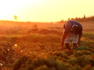 Incra revoga ordens de paralisar reforma agrária