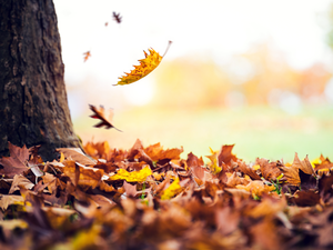 Fim do verão: Outono inicia com temperaturas acima da média e chuvas irregulares