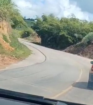 [Vídeo] Veículo da Secretaria de Saúde de Matriz de Camaragibe incendeia na AL 105