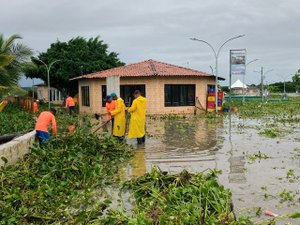 Prefeitura retira mais de 200 toneladas de baronesas da orla do Pilar