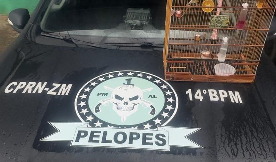 Homem que responde por tráfico é autuado por crime ambiental em Joaquim Gomes