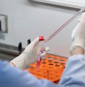 Alagoas se aproxima dos mil casos do novo coronavírus