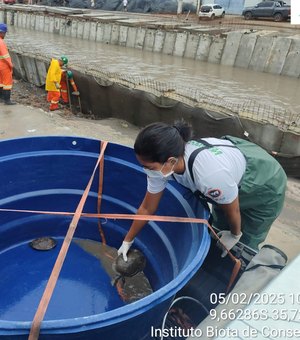 MP recomenda paralisação imediata das obras do Renasce Salgadinho para proteger animais