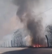 Incêndio em vegetação mobiliza Corpo de Bombeiros em Palmeira dos Índios
