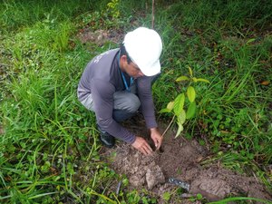 BRK Ambiental realiza o plantio de 111 mudas na APA do Catolé