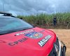 Corpo de homem carbonizado é encontrado em canavial próximo ao aeroporto