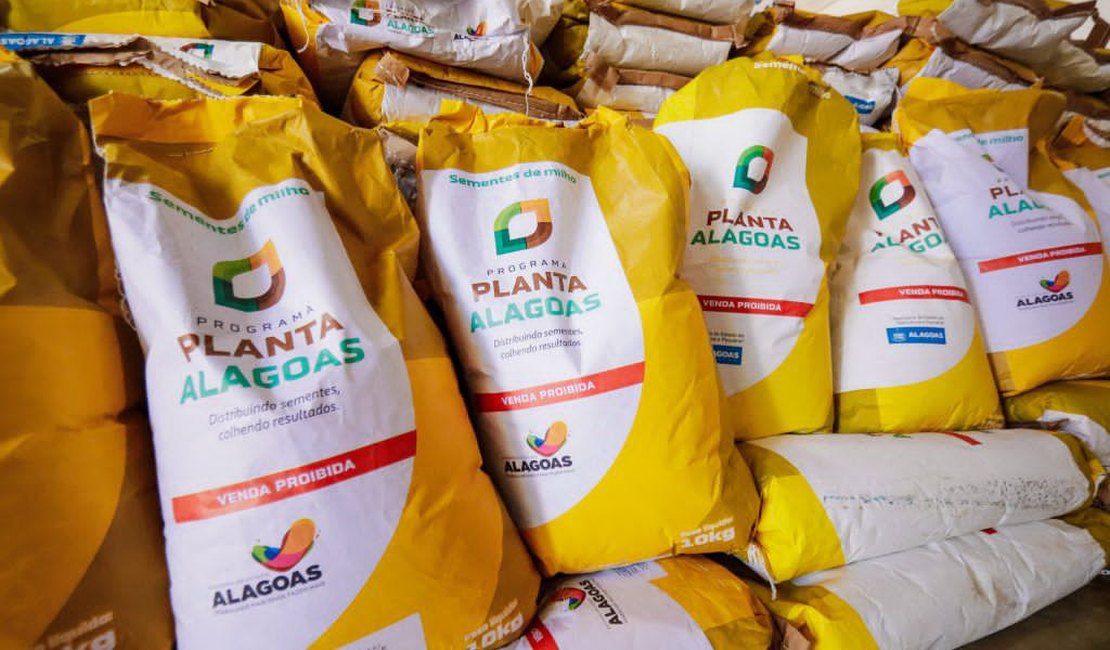 Palmeira dos Índios distribuirá 50 toneladas de sementes para 3 mil famílias rurais nesta sexta (8)