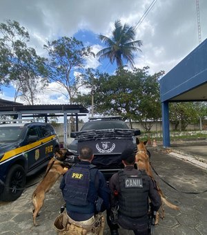 Homem é preso com 17,2 kg de maconha em ação conjunta da PRF e do 3º BPM em São Sebastião