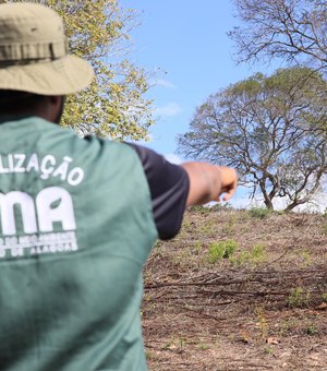 FPI do Rio São Francisco embarga áreas desmatadas equivalentes a 419 campos de futebol