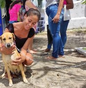 ‘Castra Pet’ realiza mais 40 castrações de cães e gatos no município de Penedo