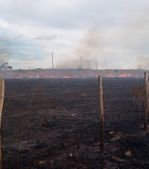 População denuncia incêndio em vegetação de terreno em Marechal Deodoro