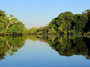 Menina de quatro anos passa cinco dias perdida na floresta