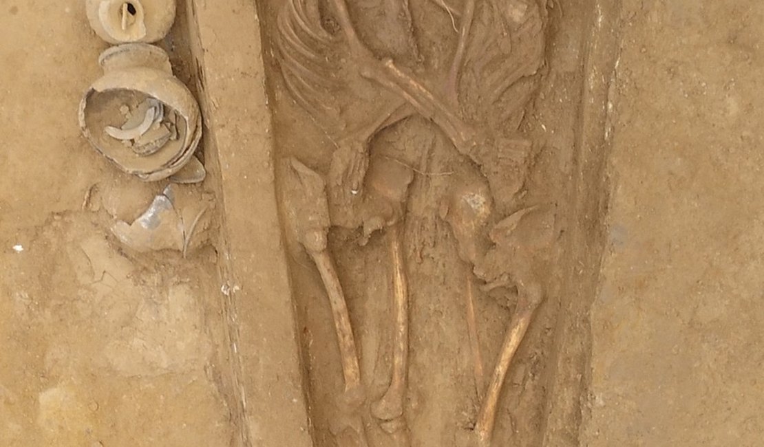 Pesquisadores encontram na China esqueletos abraçados há 1.500 anos