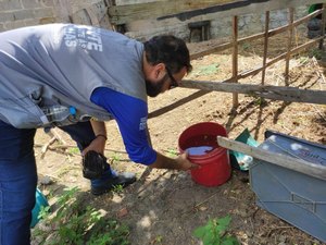 Secretaria Municipal de Saúde inicia mutirões contra a dengue em Penedo