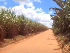 Homem é preso por tráfico de drogas e posse ilegal de arma de fogo na zona rural de Limoeiro de Anadia