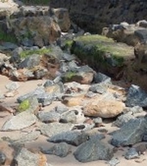 IMA intima prefeitura a retirar entulhos das praias de Maceió