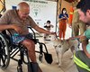 Idosos da Casa dos Velhinhos ganham dia especial em companhia de cães resgatados em Arapiraca