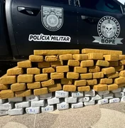 Ocupantes são presos usando maconha em carreta com quase 100 kg da droga