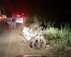 Colisão entre motocicleta e animal deixa uma pessoa ferida na AL-101, em Maragogi