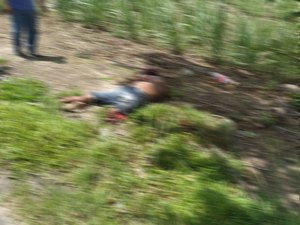 Motoqueiro morre em colisão com caminhão na BR-316