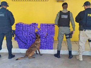 Operação conjunta da PRF com apoio do canil do 3⁰ Batalhão apreende aproximadamente 194 kg de maconha, em São Sebastião