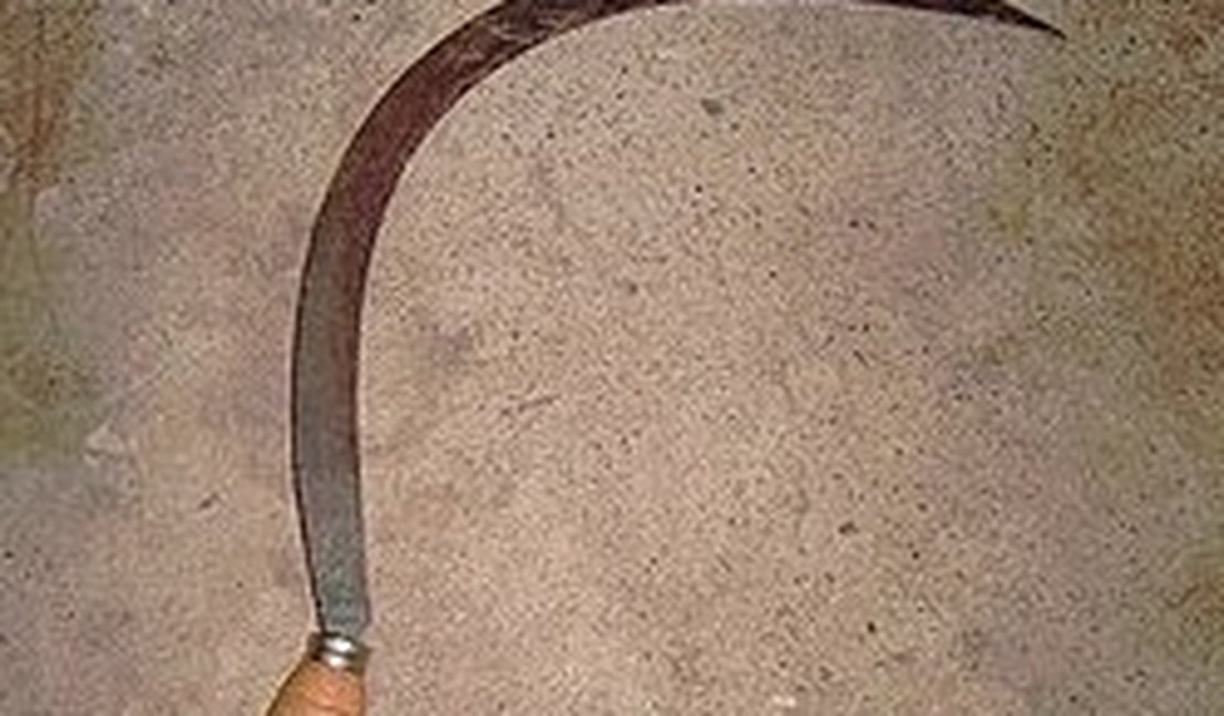 Homem é ferido com golpe de foice após discussão sobre maus-tratos a cachorro em Rio Largo