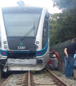 VLT colide contra boi e vagão descarrila em trecho da linha férrea em Satuba