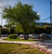 Canteiros do cruzamento da Rodoviária de Maceió ganham novo visual após revitalização