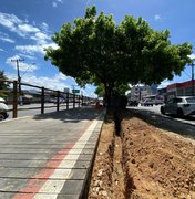 Prefeitura inicia nova etapa da iluminação na ciclovia da Avenida Fernandes Lima