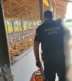 Foragido por estupro em São Paulo é preso trabalhando em granja no Agreste de Alagoas