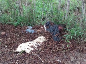 Corpo de jovem é encontrado coberto de folhas