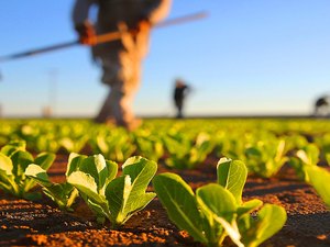 AL é o terceiro Estado com financiamentos de projetos para agricultores familiares no Brasil