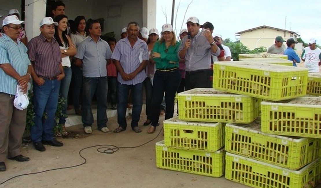 Programa de Avicultura Familiar entrega aves