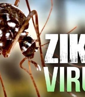 Nova síndrome congênita é descrita em crianças com zika