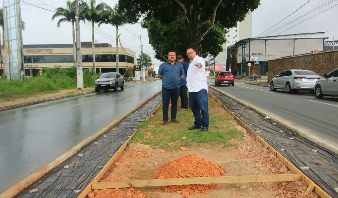 Canteiro central da Avenida Ceci Cunha ganha revitalização em Arapiraca