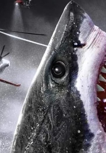 Filme viraliza após estudo sobre 'tubarões da cocaína' no Brasil