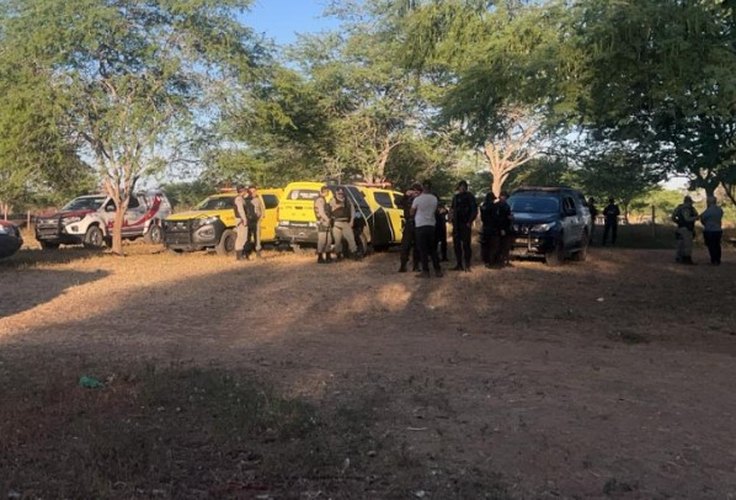 Prefeito de Major Izidoro é acusado de entrar em fazenda e matar gado de primo do governador