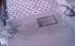 Homem furta câmeras de segurança no Poço