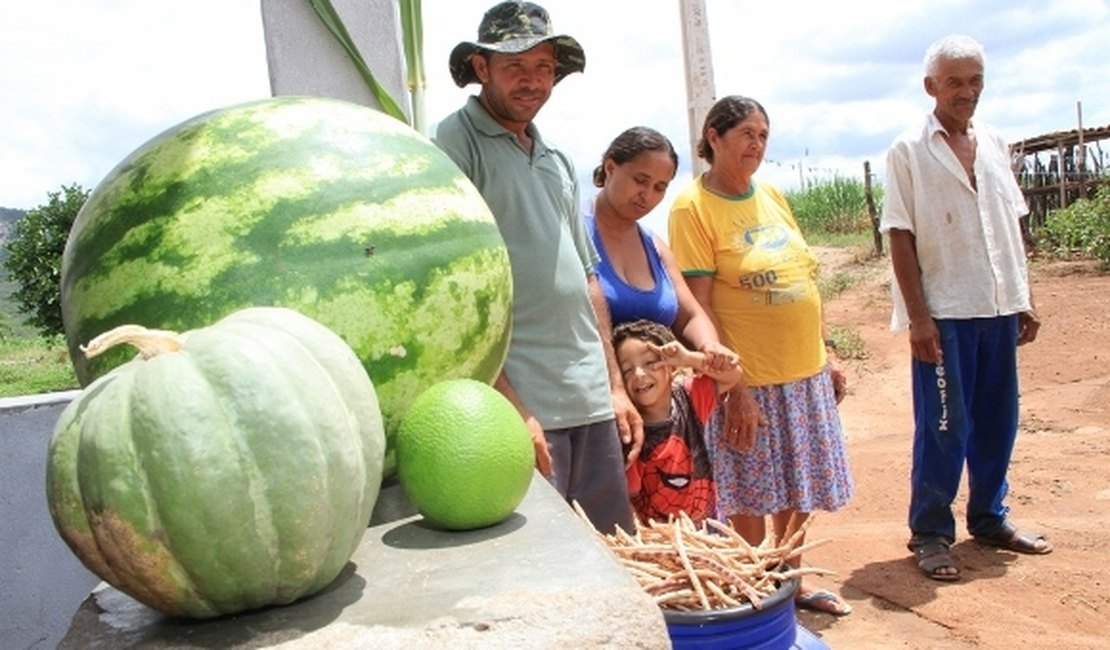 Emater fortalece agricultura familiar em municípios