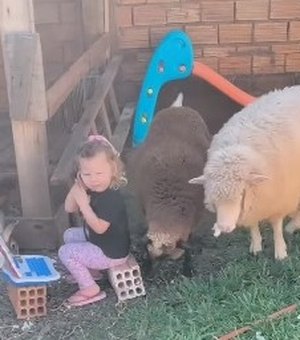 Menina de 2 anos encanta a web ao brincar de veterinária com muita criatividade