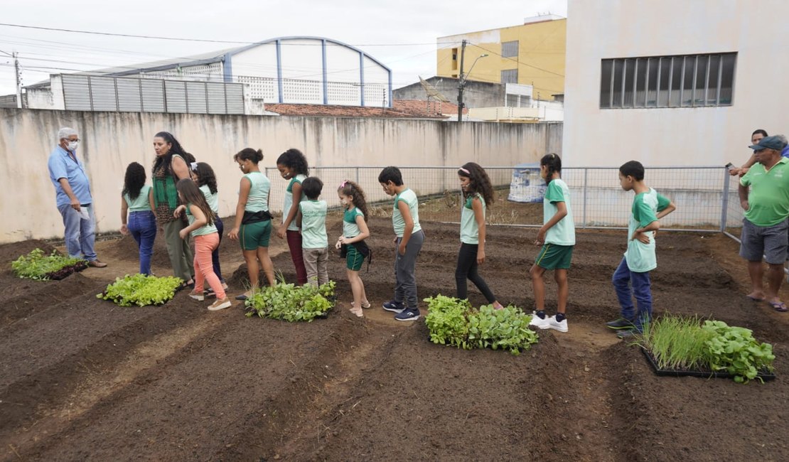 Projeto piloto de horta urbana é implantado em escola de Palmeira