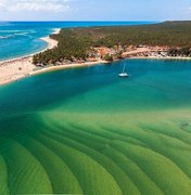 Verão: oito trechos de praias do litoral alagoano estão impróprios para banho