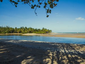 Verão Maragogi: Praia de Camacho é perfeita para quem curte calmaria