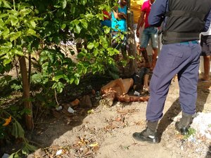 Corpo de jovem é encontrado em chácara na zona rural de Junqueiro