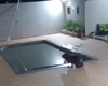 Capivara invade casa e dá mergulho em piscina antes de ser capturada, no Paraná