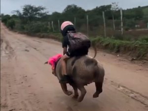 De Girau do Ponciano para o mundo: Gutinho Rocha viraliza ao voltar da escola montado em um porco