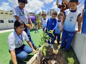 Autarquia de Limpeza Urbana promove ações sustentáveis em alusão à Semana da Árvore