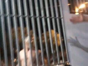 Homem puxa dois facões e tenta invadir bar em Major Izidoro